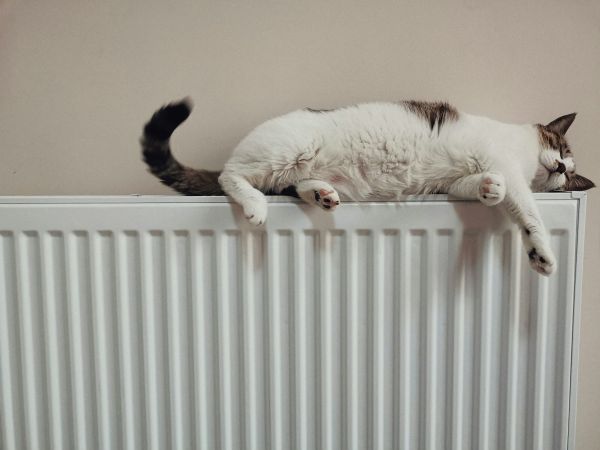 Pompe à chaleur air-eau : guide pour un chauffage écoénergétique